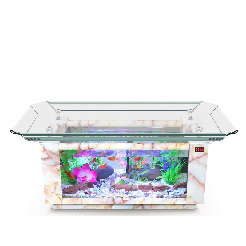 Marine Aquarium Fish Price - سعر حوض أسماك بحري لعام 2026،