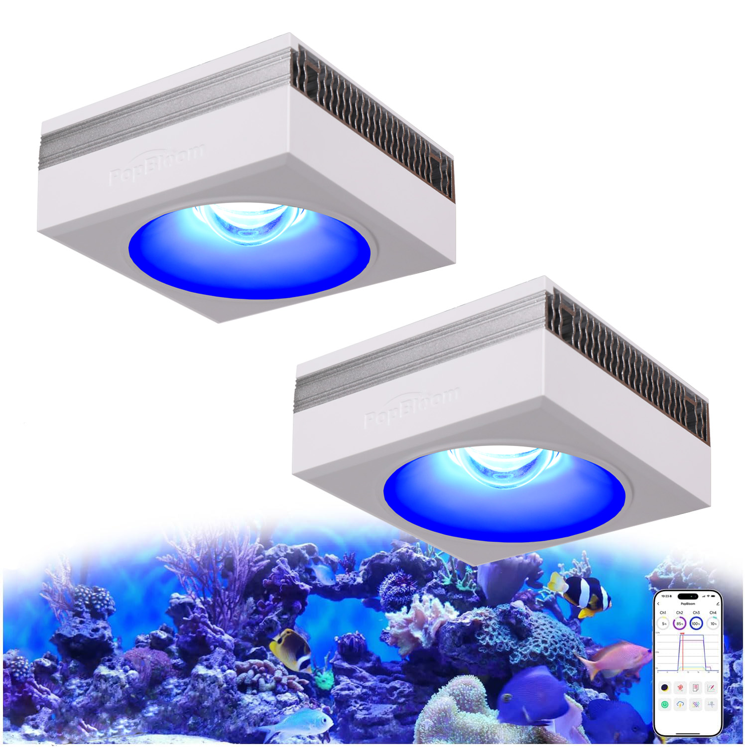 Marine X Aquarium - مصباح حوض السمك الجديد PopBloom RL90