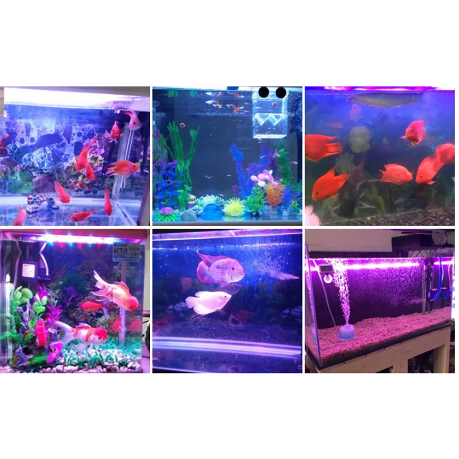Marine Aquarium Uv - إضاءة LED متعددة الألوان للأحواض المائية