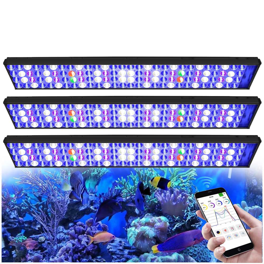 3 × مصباح حوض السمك PopBloom H - مراجعة Marine X Aquarium وسعره