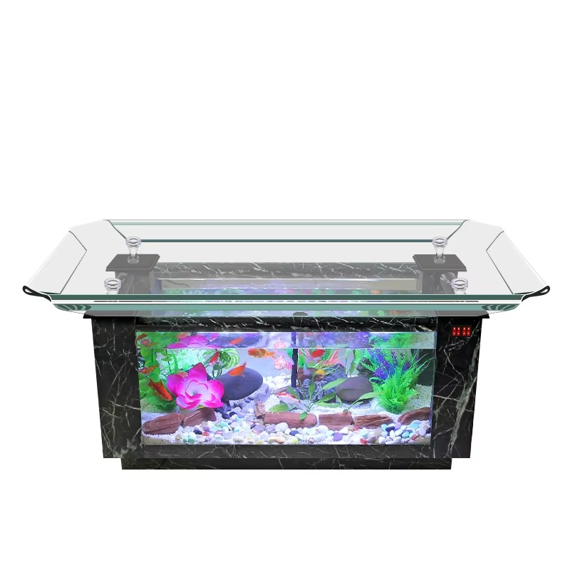 سعر حوض أسماك بحري لعام 2026،  - مراجعة Marine Aquarium Fish Price وسعره