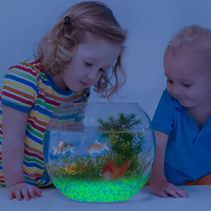 1000 قطعة 3-5 مللي متر مضيئة ا - مراجعة Aquarium Marine Tank وسعره