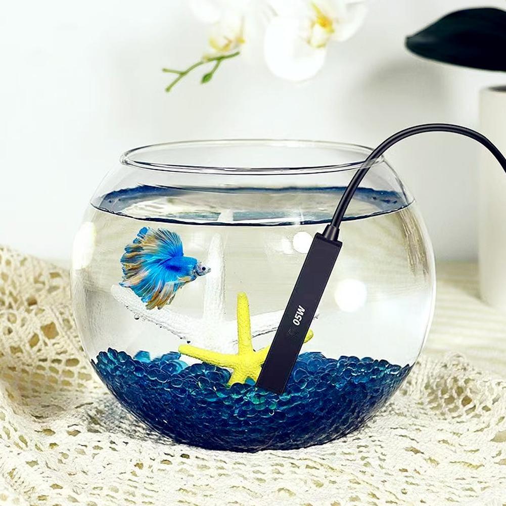 سخان حوض أسماك صغير يعمل بمنفذ - مراجعة Aquarium Marine Tank وسعره