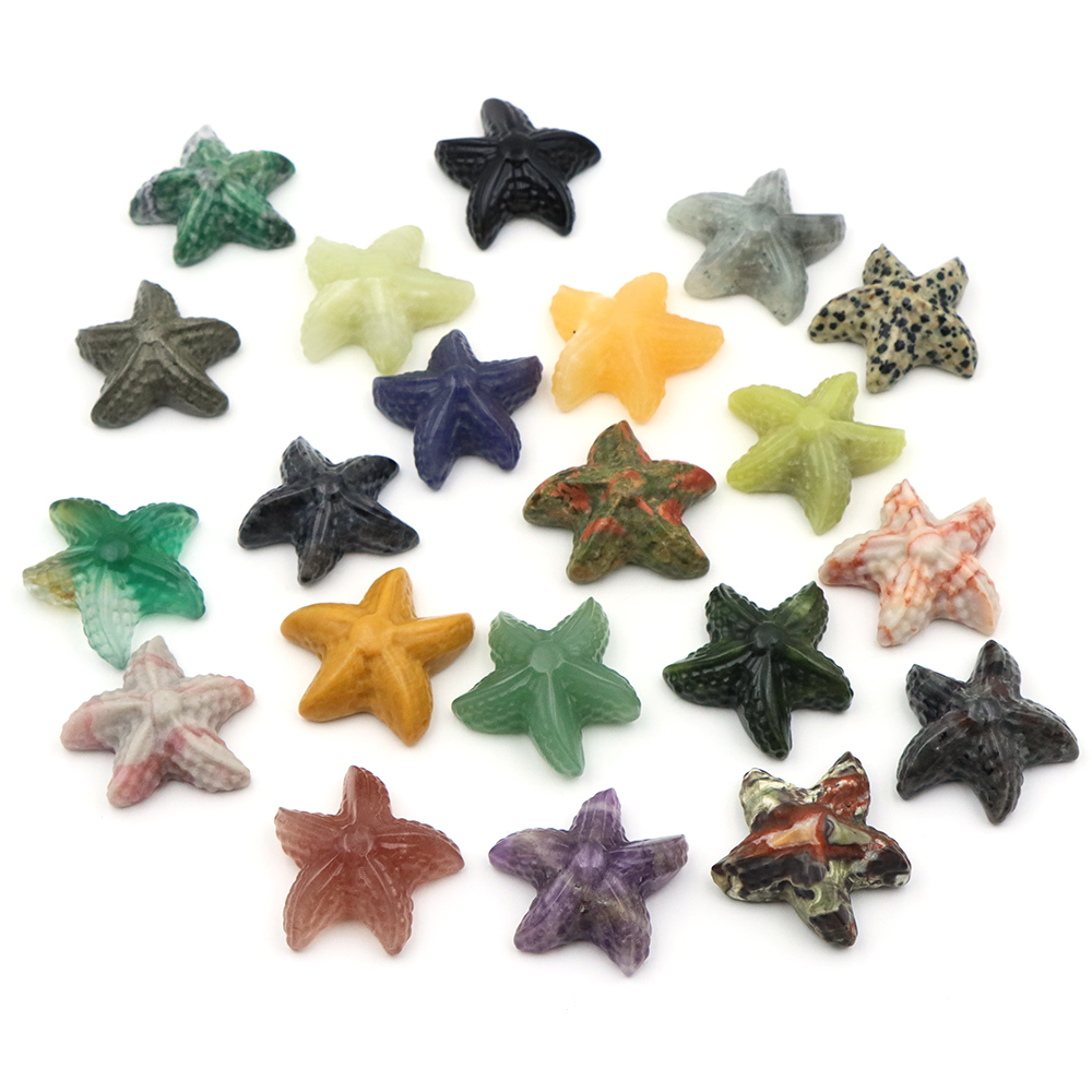 35 مللي متر نجم البحر شكل تمثا - مراجعة Aquarium And Marine وسعره