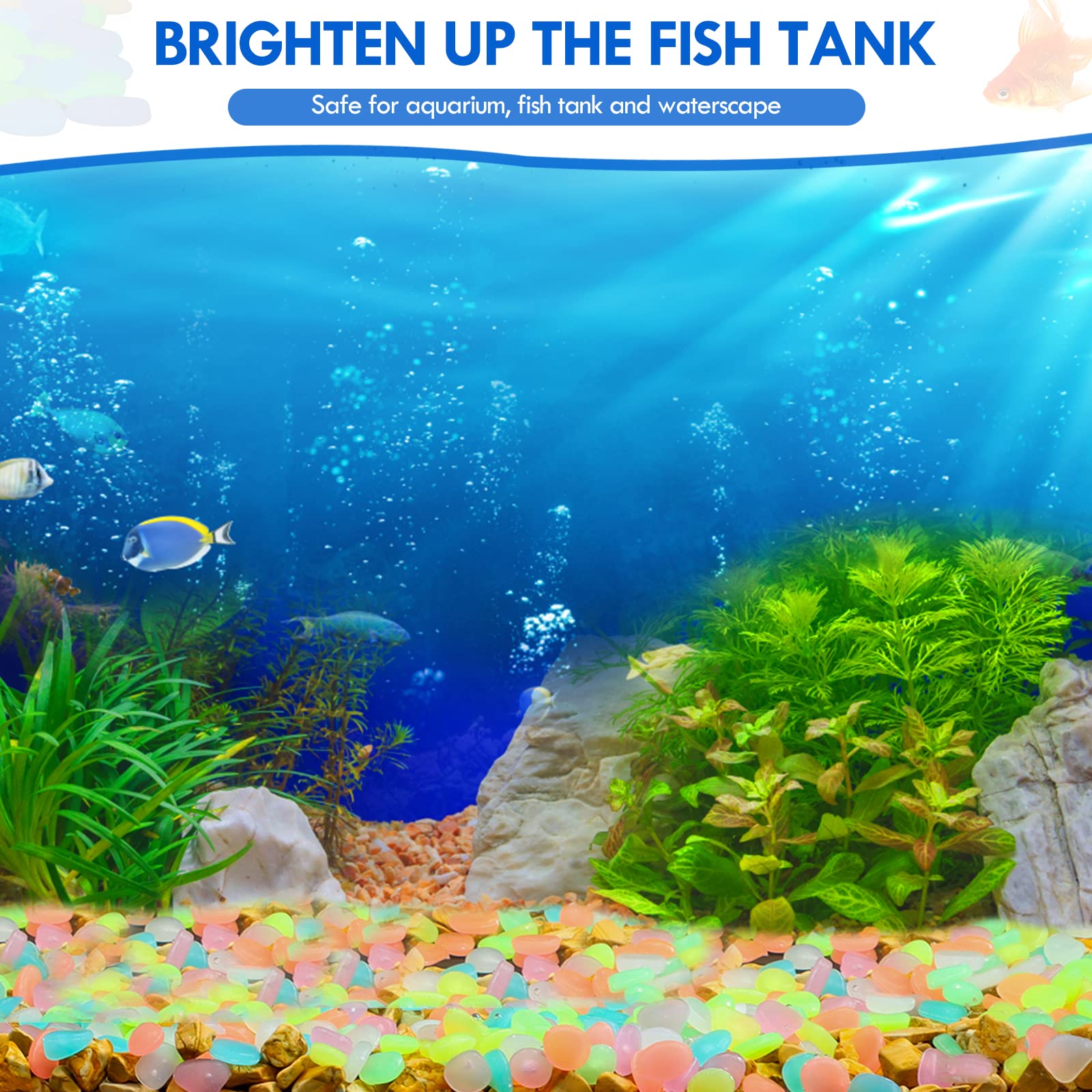 100 قطعة يتوهج في الظلام حديقة - مراجعة Aquarium Marine Tank وسعره