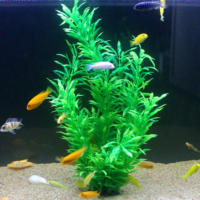 نباتات اصطناعية نادرة لأحواض ا - مراجعة Aquarium Marine Tank وسعره